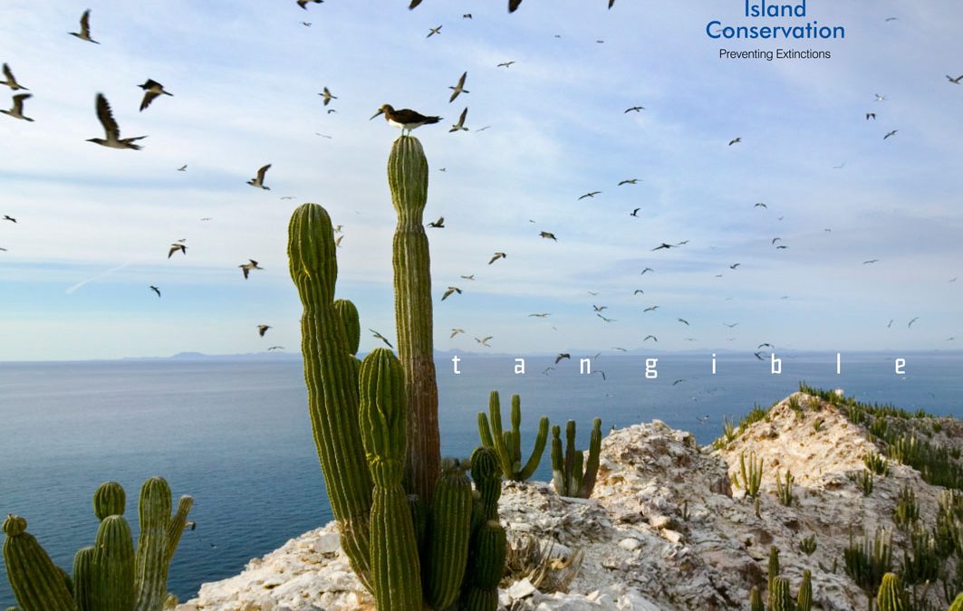 Annual Report • Island Conservation